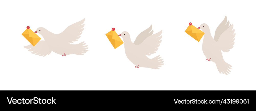 Bird with message in different positions pigeon Bird with message in different positions pigeon vector image