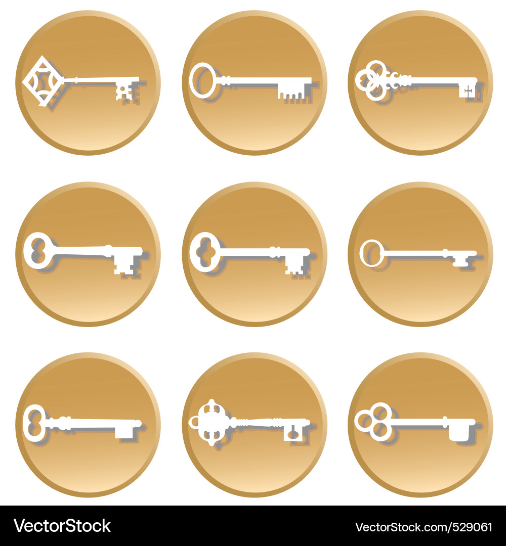 Set of key vector image