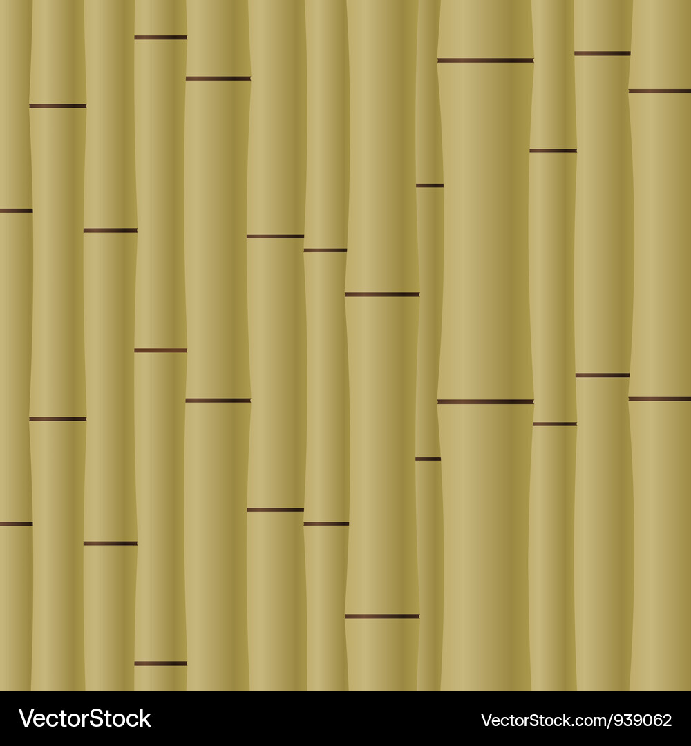 Abstract bamboo background eps10 Vector Image