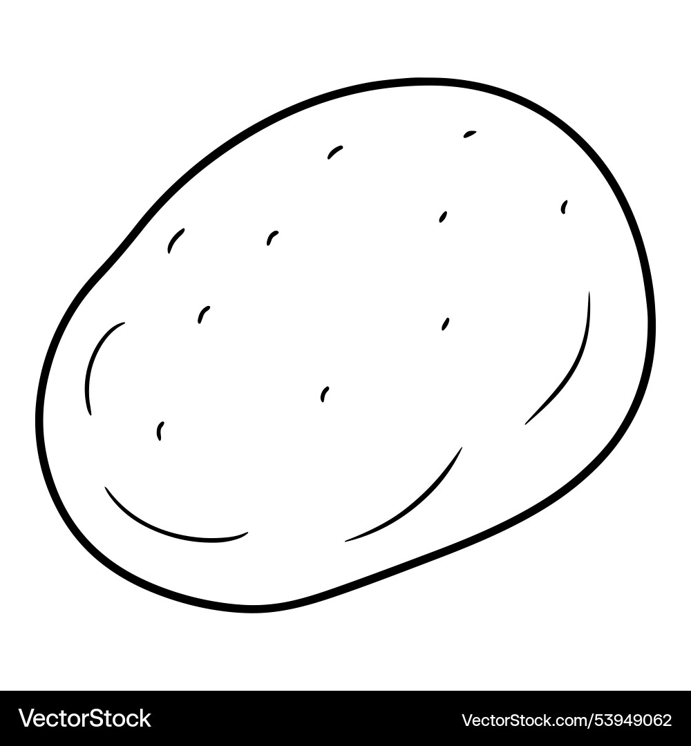 Dynamic potato with line art Vector Image