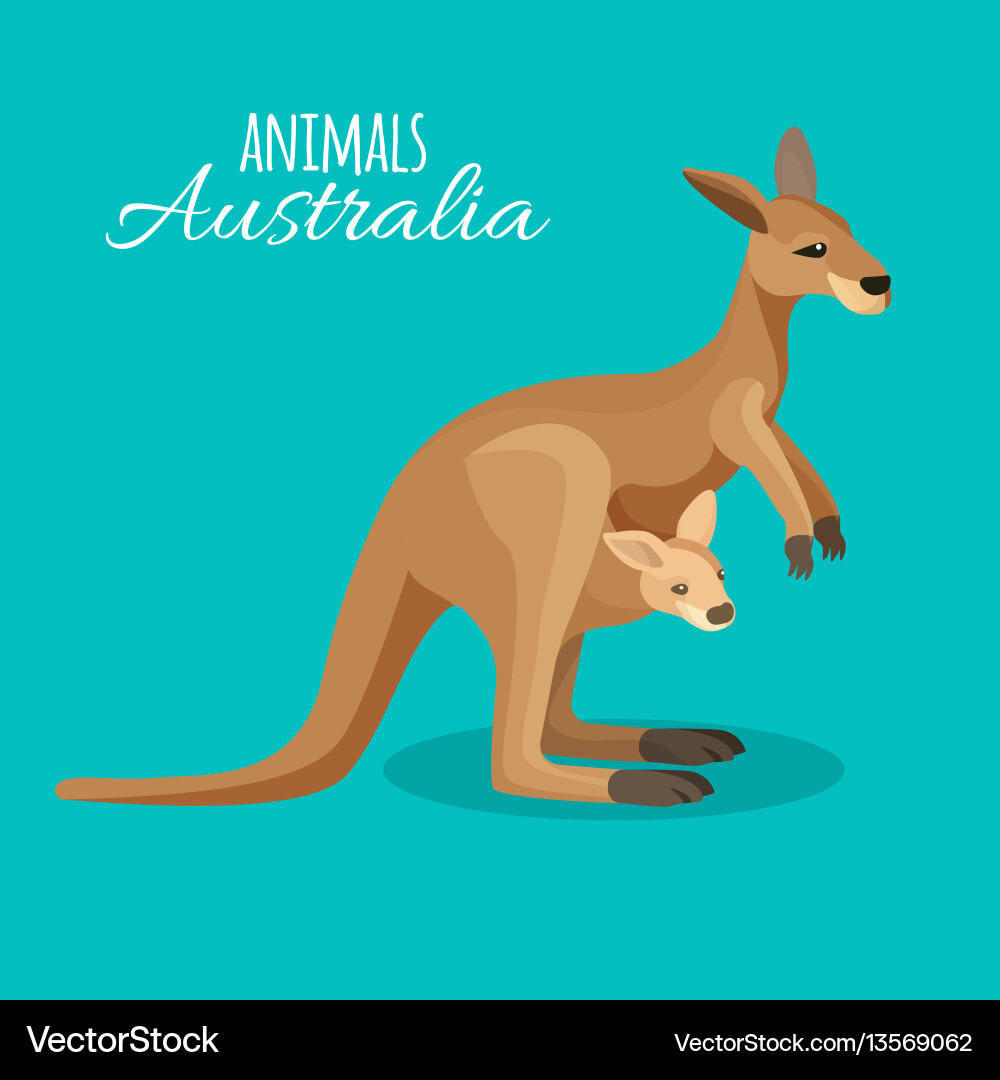 Kangaroo Mother and Joey Vector Image
