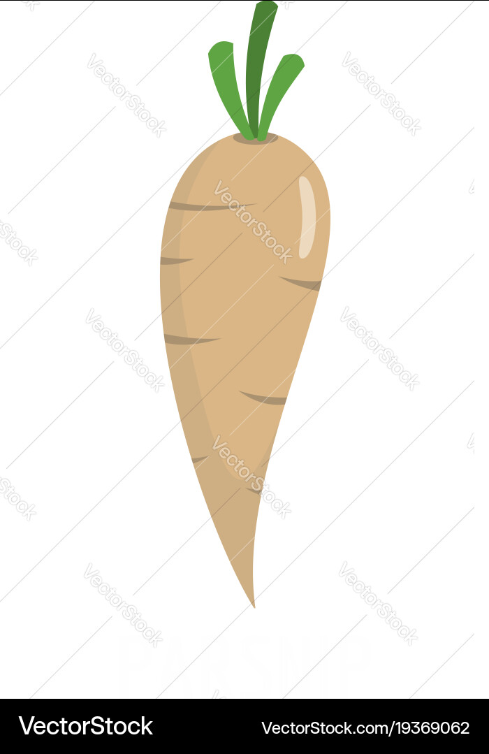 Parsnip icon flat style vector image