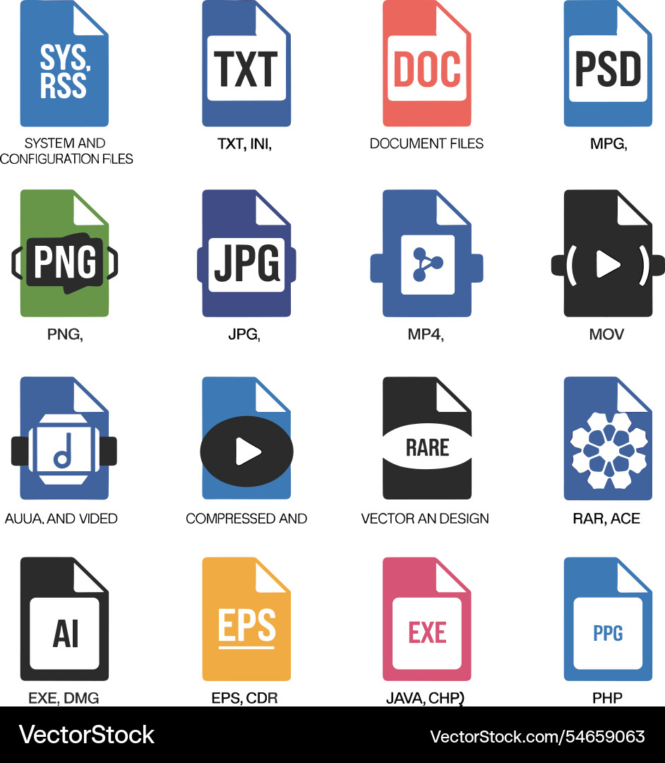 Common file types and their uses Common file types and their uses vector image