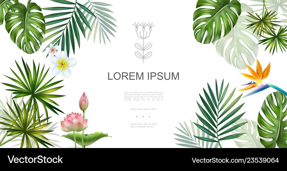 Realistic tropical plants floral concept Realistic tropical plants floral concept Vector Image