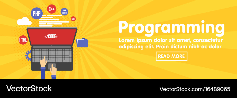 Programming and coding website development banner vector image