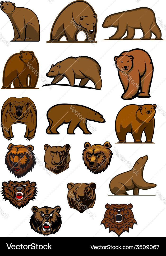 Aggressive Bear Heads - Cartoon Set Vector Image