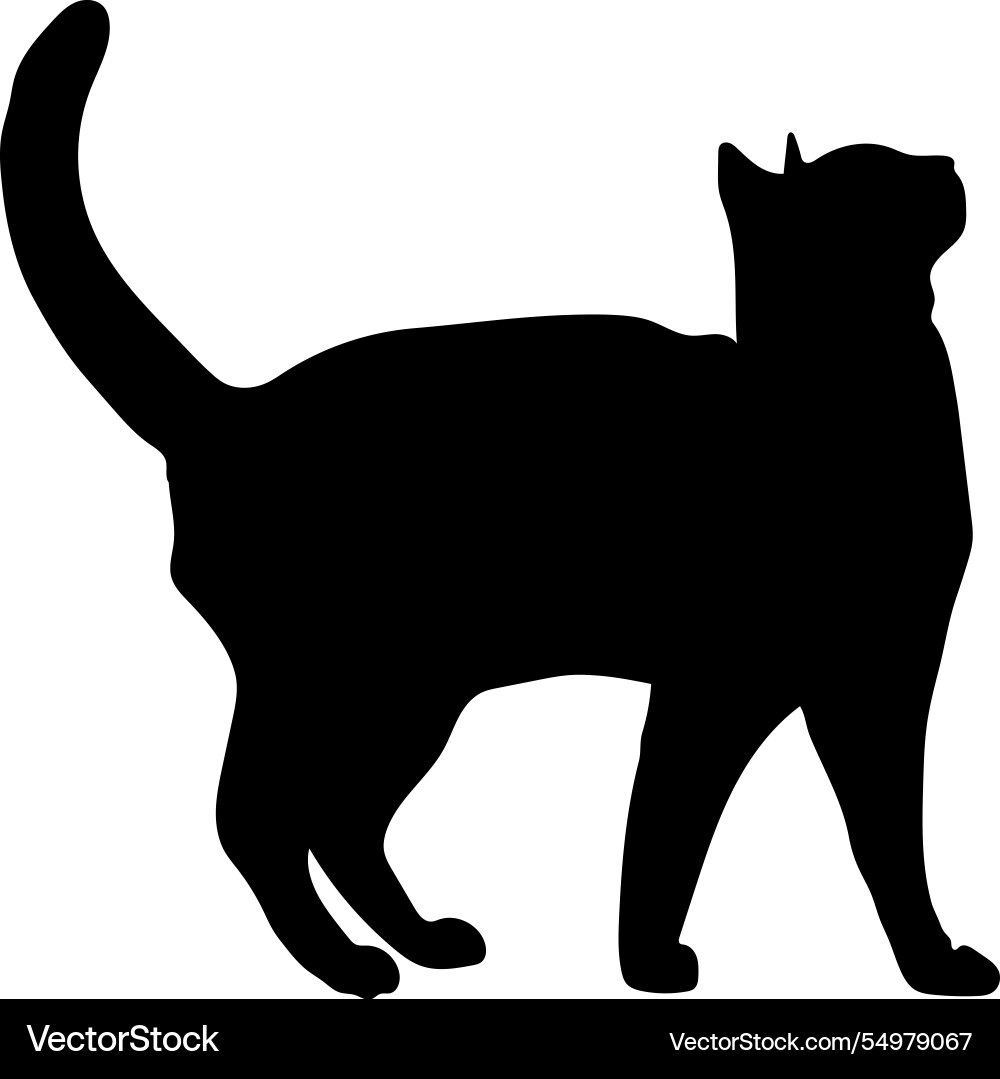 Cat silhouette sphinx side view breeds pet Cat silhouette sphinx side view breeds pet vector image