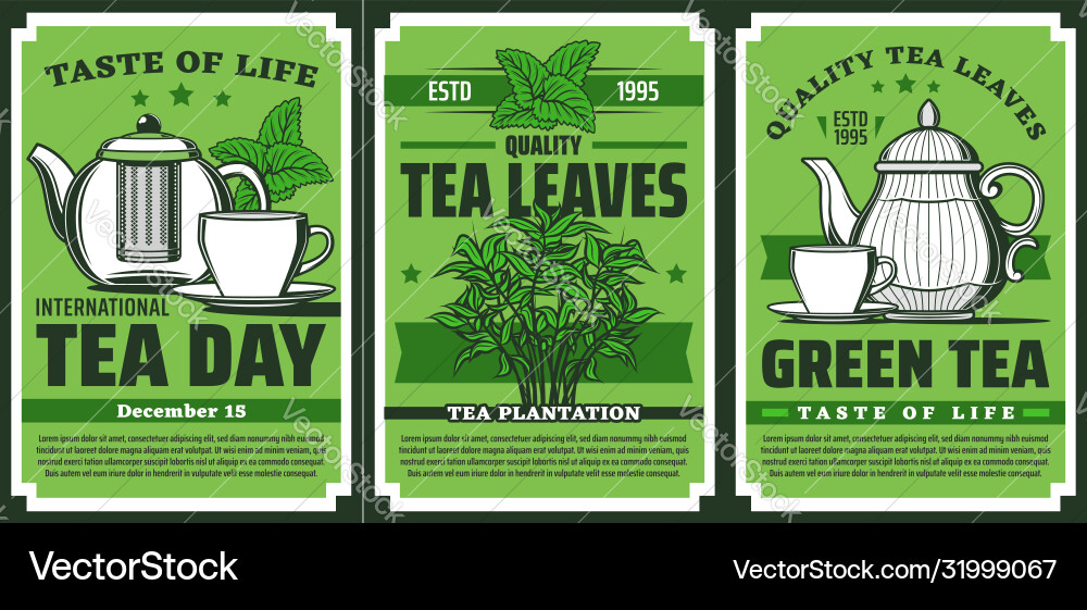 Green tea leaves hot drink cup and pot vector image