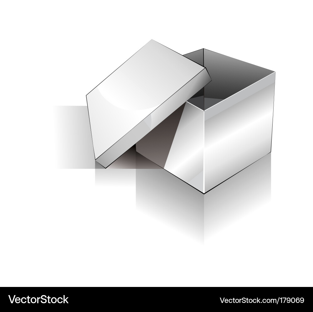 3D Empty Box Vector Image