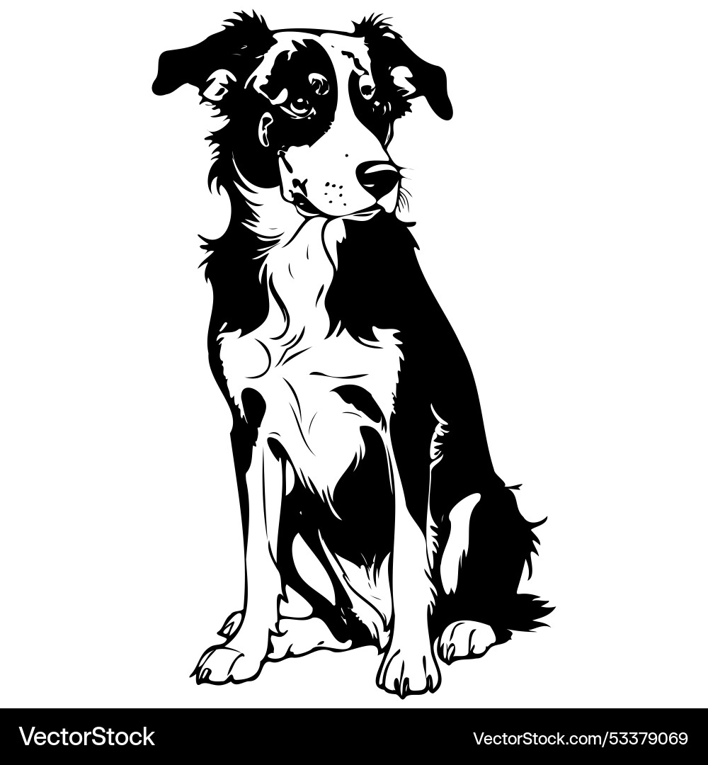 Appenzeller dog sitting drawing black silhouette Appenzeller dog sitting drawing black silhouette vector image