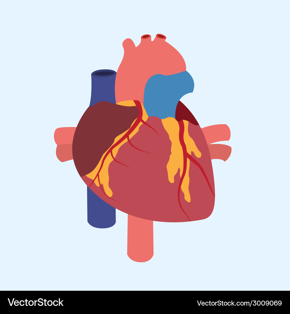Heart Royalty Free Vector Image - VectorStock