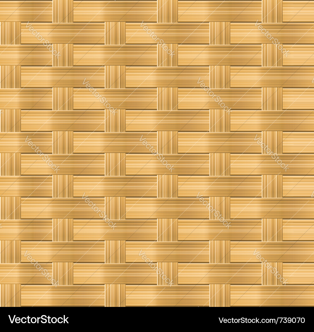 Bamboo Wicker Pattern vector image