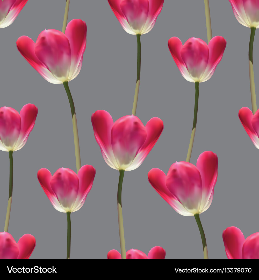 Realistic Tulip Pattern Vector Image