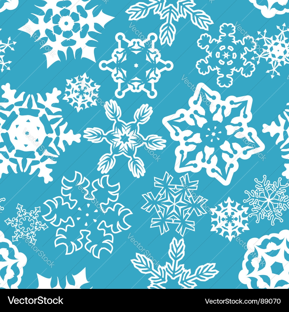 Winter Snowflake Pattern Vector Image