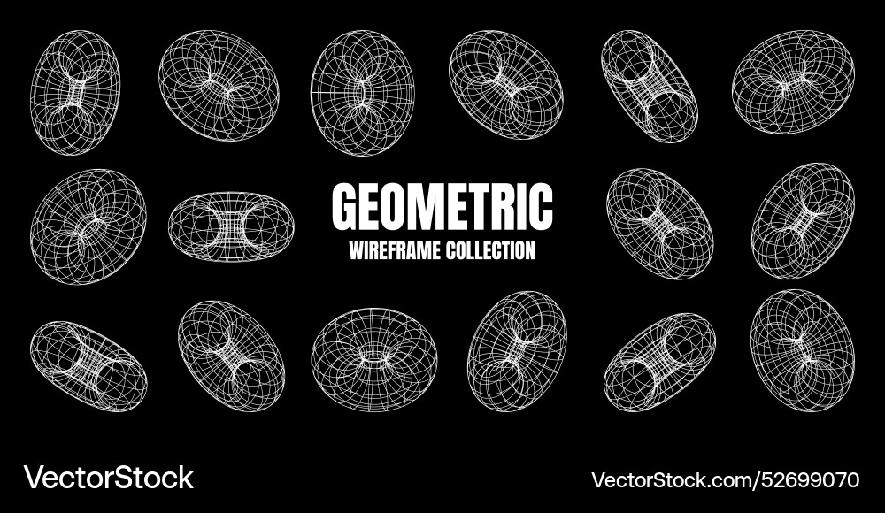 Wireframe shapes lined torus perspective mesh Wireframe shapes lined torus perspective mesh vector image