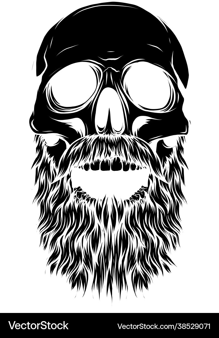 Bald Bearded Skull Silhouette Vector Image