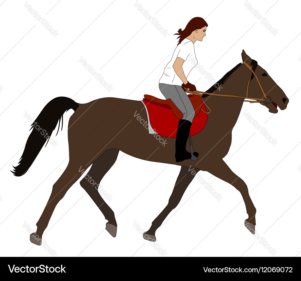 Woman riding horse vector image