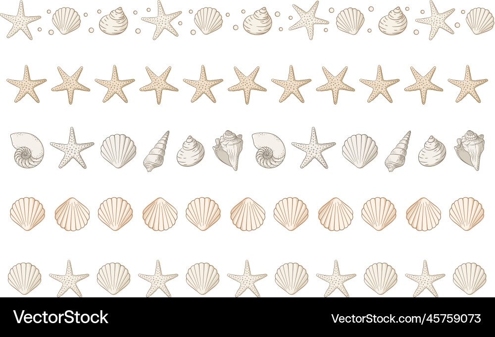 Seashell Border & Seashells Set vector image
