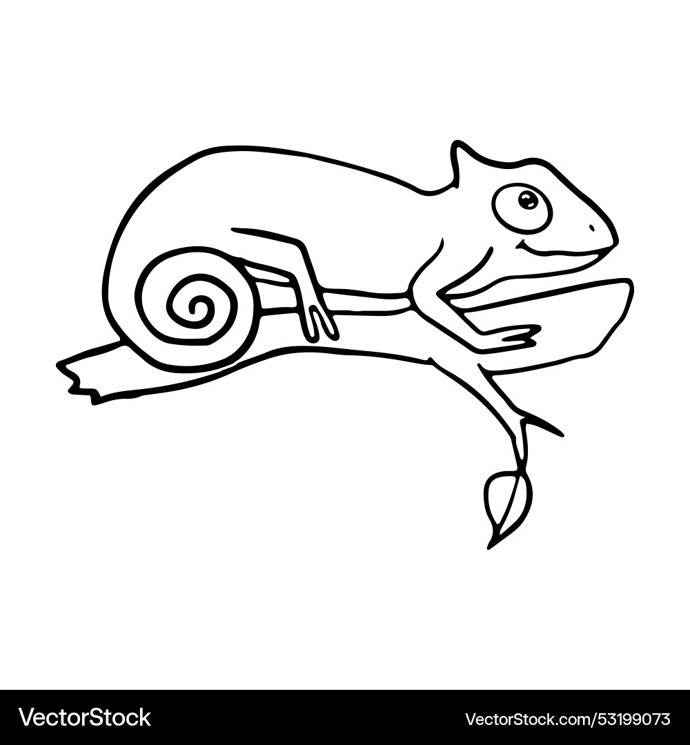 Simple of a chameleon on branch Simple of a chameleon on branch vector image
