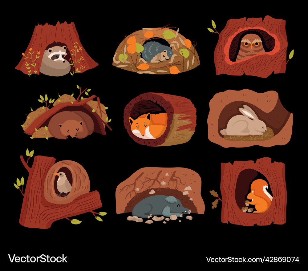 Forest animals in tree hollows background vector image