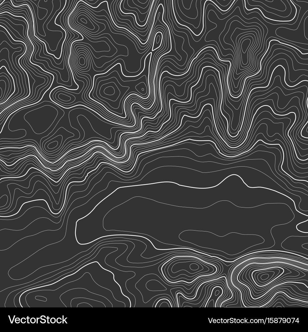 Topographic map background with space for copy vector image