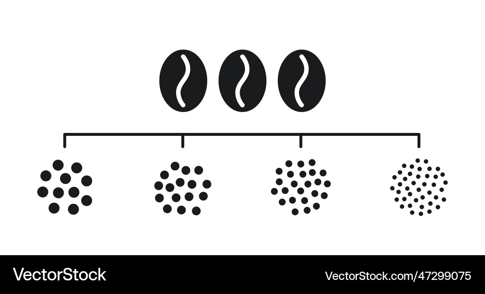 Coffee grain grind size ground beans vector image