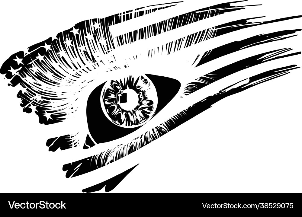 Usa Flagge im schönen weiblichen Auge Usa Flagge im schönen weiblichen Auge vektorbild