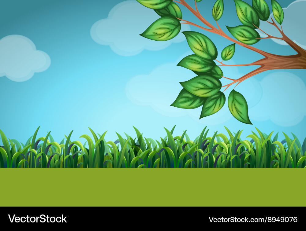 Scene with grass and tree vector image