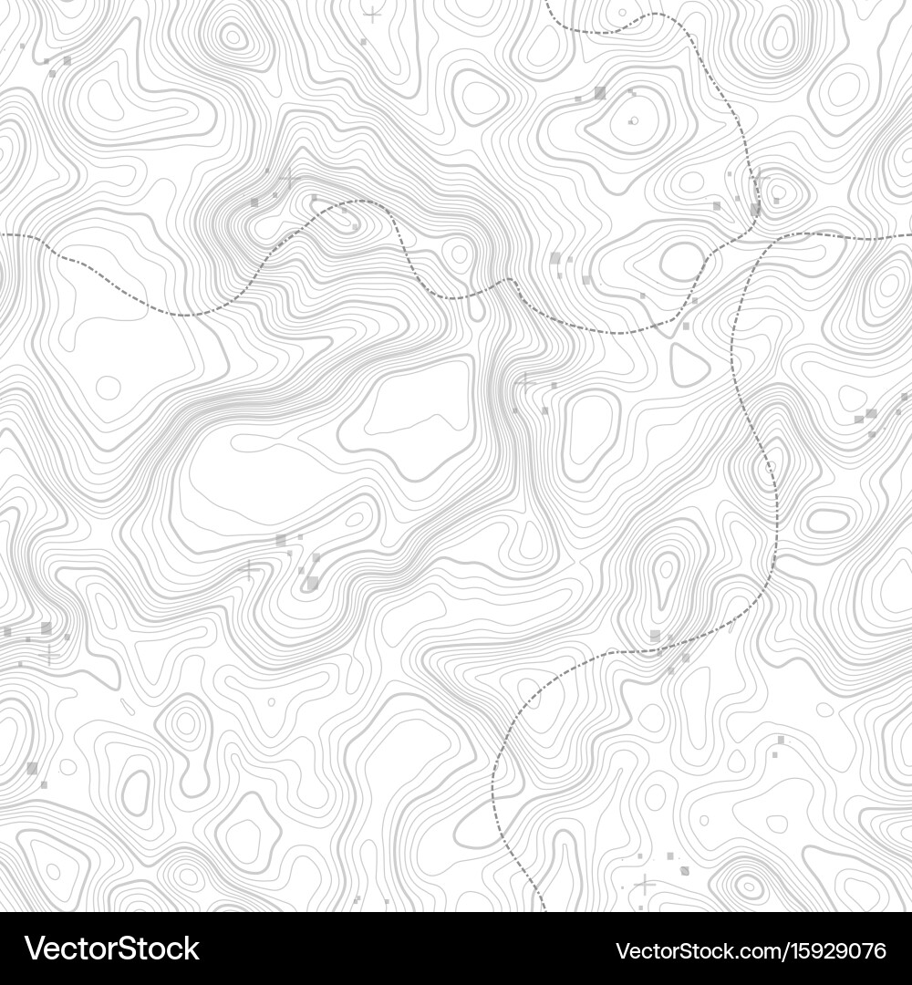 Seamless pattern topographic map background vector image