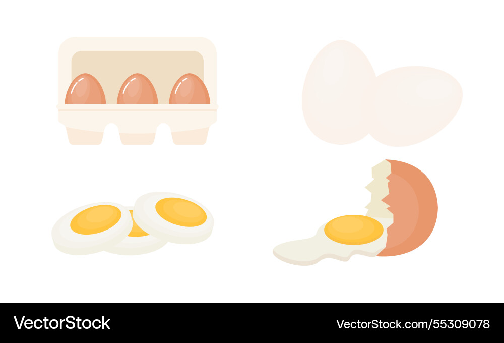 Egg sets in various forms raw boiled and fried Egg sets in various forms raw boiled and fried Vector Image