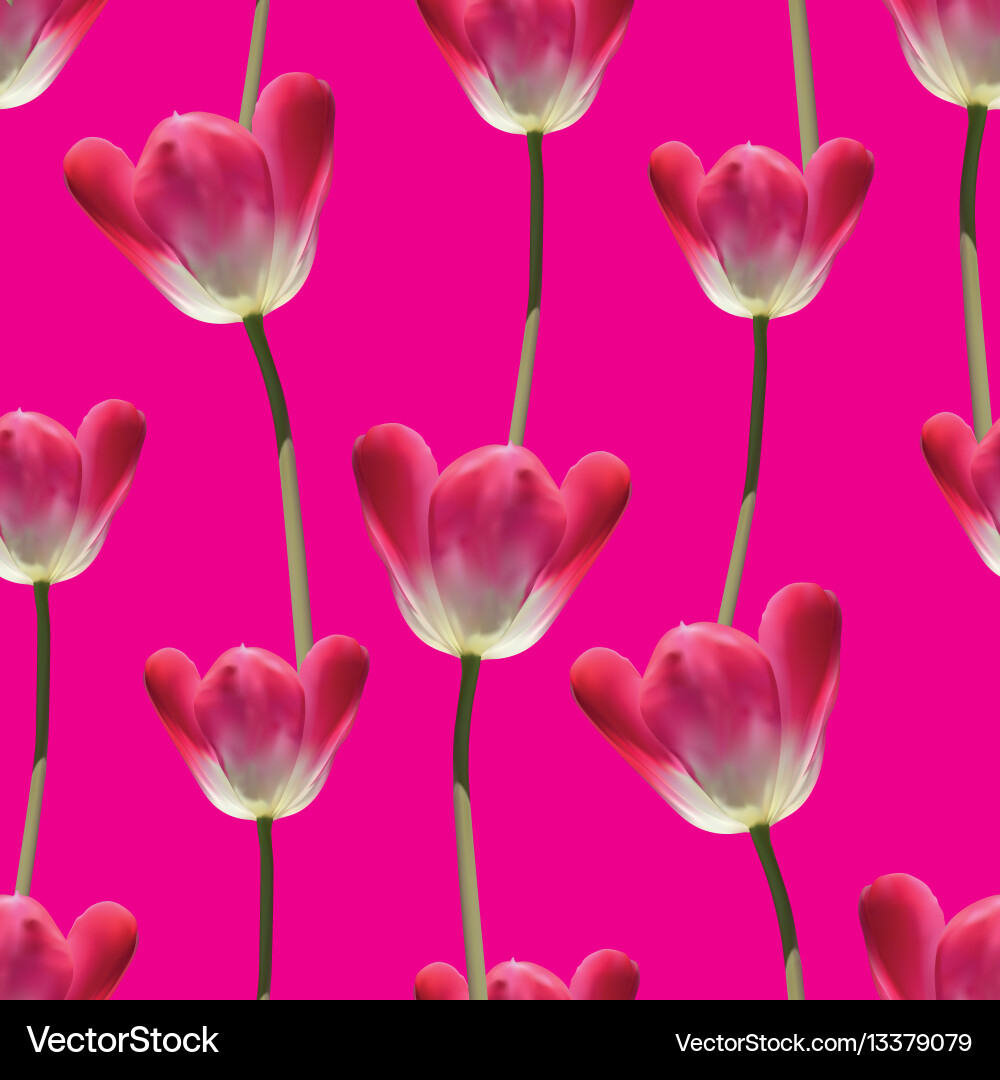 Realistic Tulip Pattern vector image