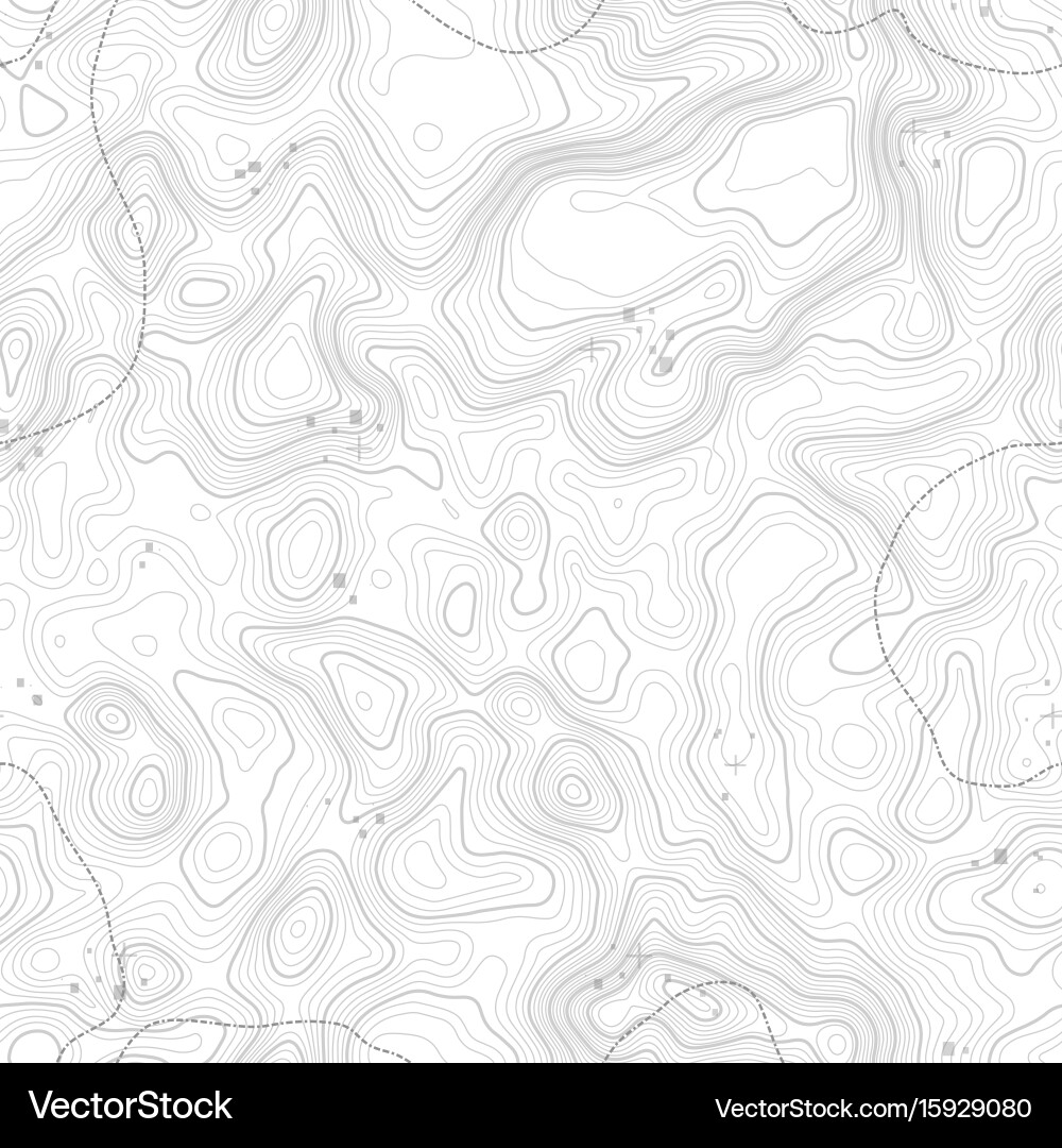 Seamless pattern topographic map background vector image