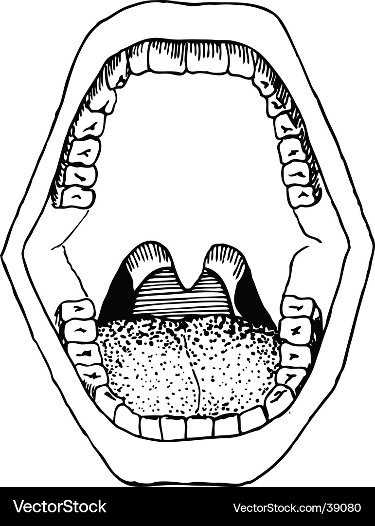 Sketch of an Open Jaw Vector Image