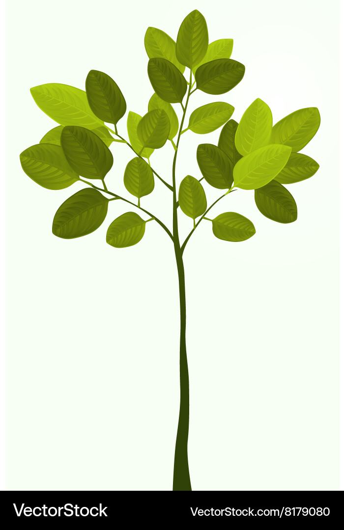 Tree Vector Image