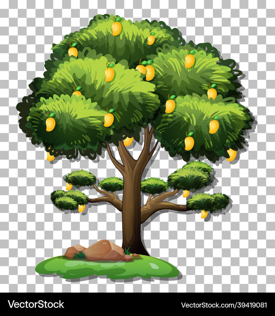 Mango tree on transparent background Vector Image
