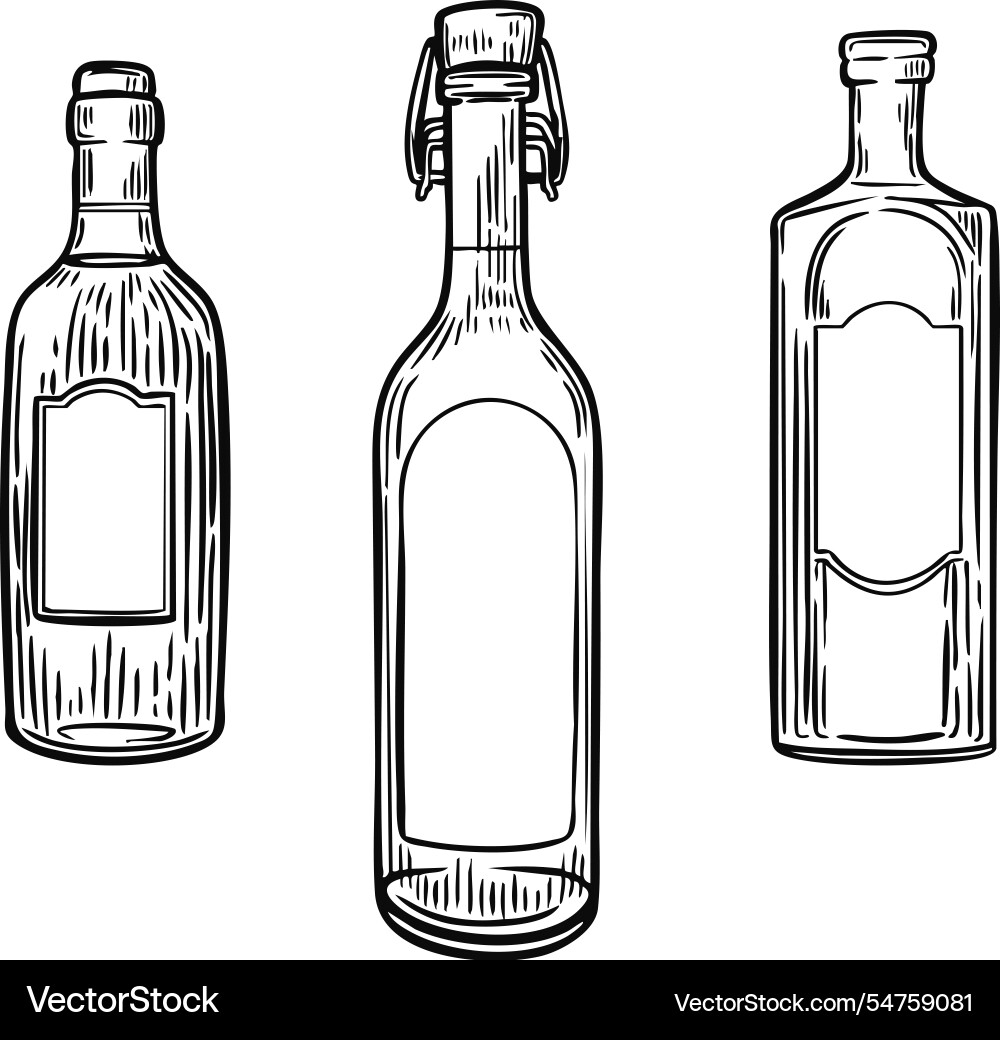 Three bottles with empty labels line drawing Vector Image