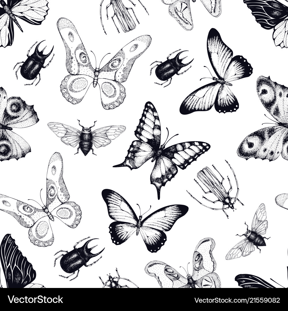 Seamless pattern with insects Royalty Free Vector Image