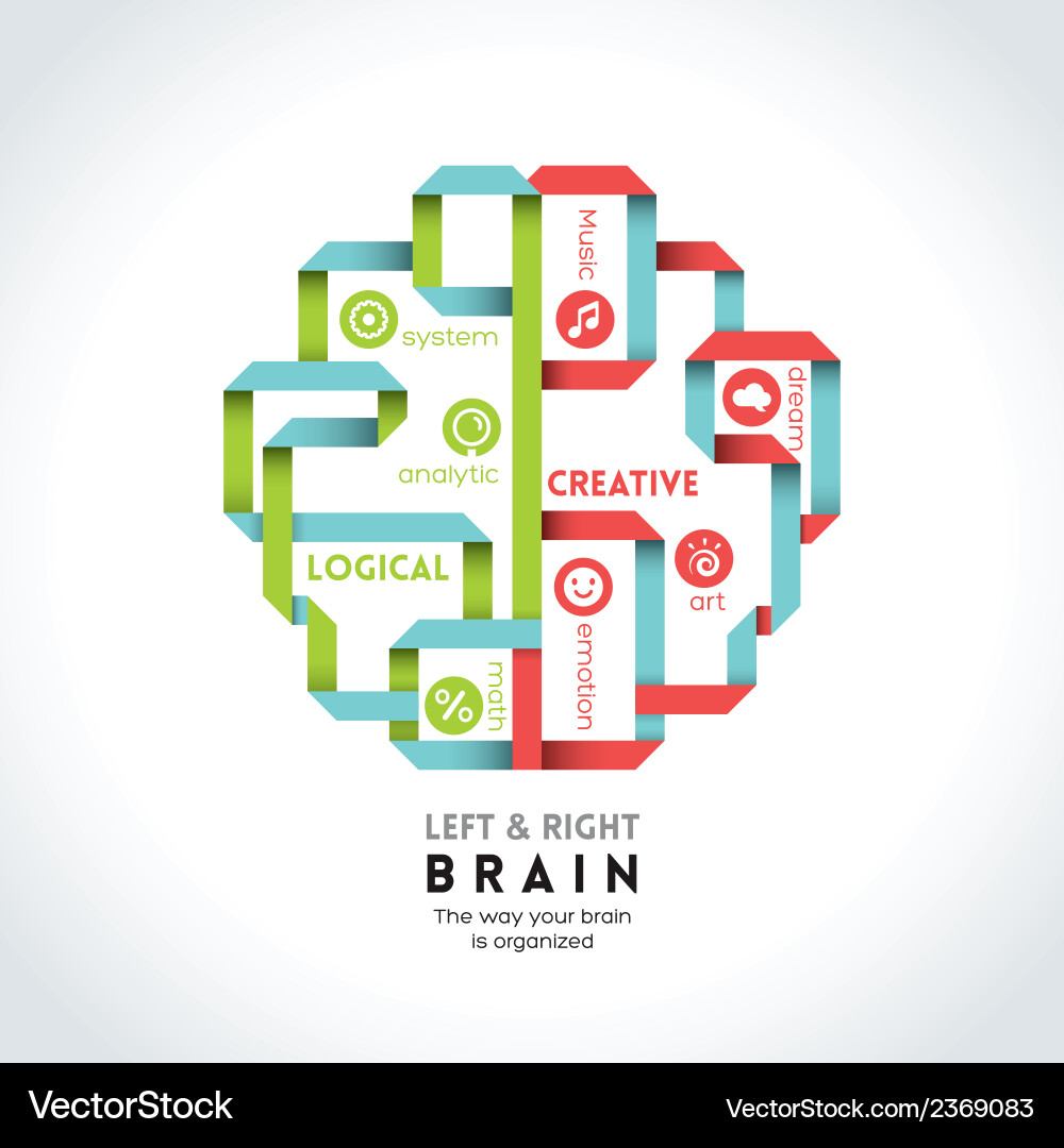 Left and Right Brains - Cognitive Function vector image