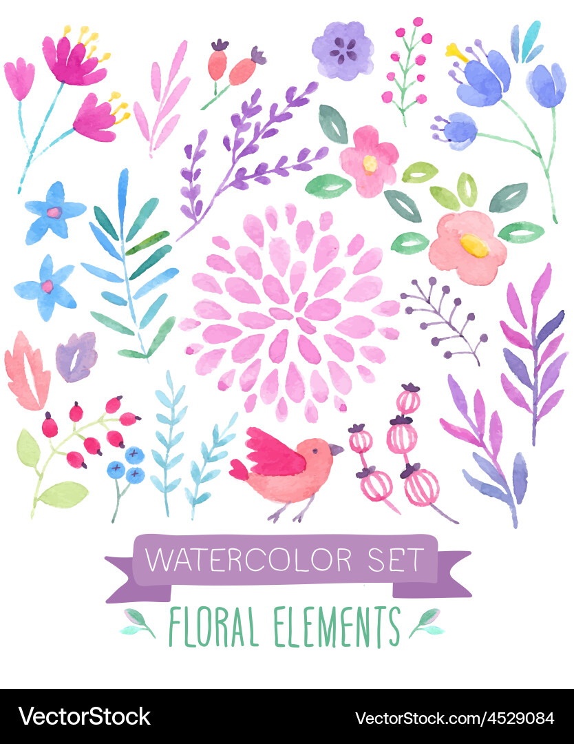 Floral Watercolor Set Vector Image