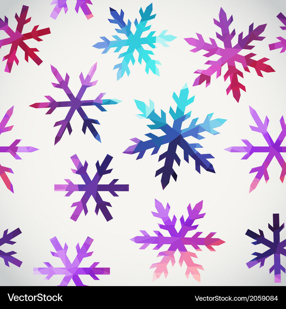 Geometric Snowflake Pattern Vector Image