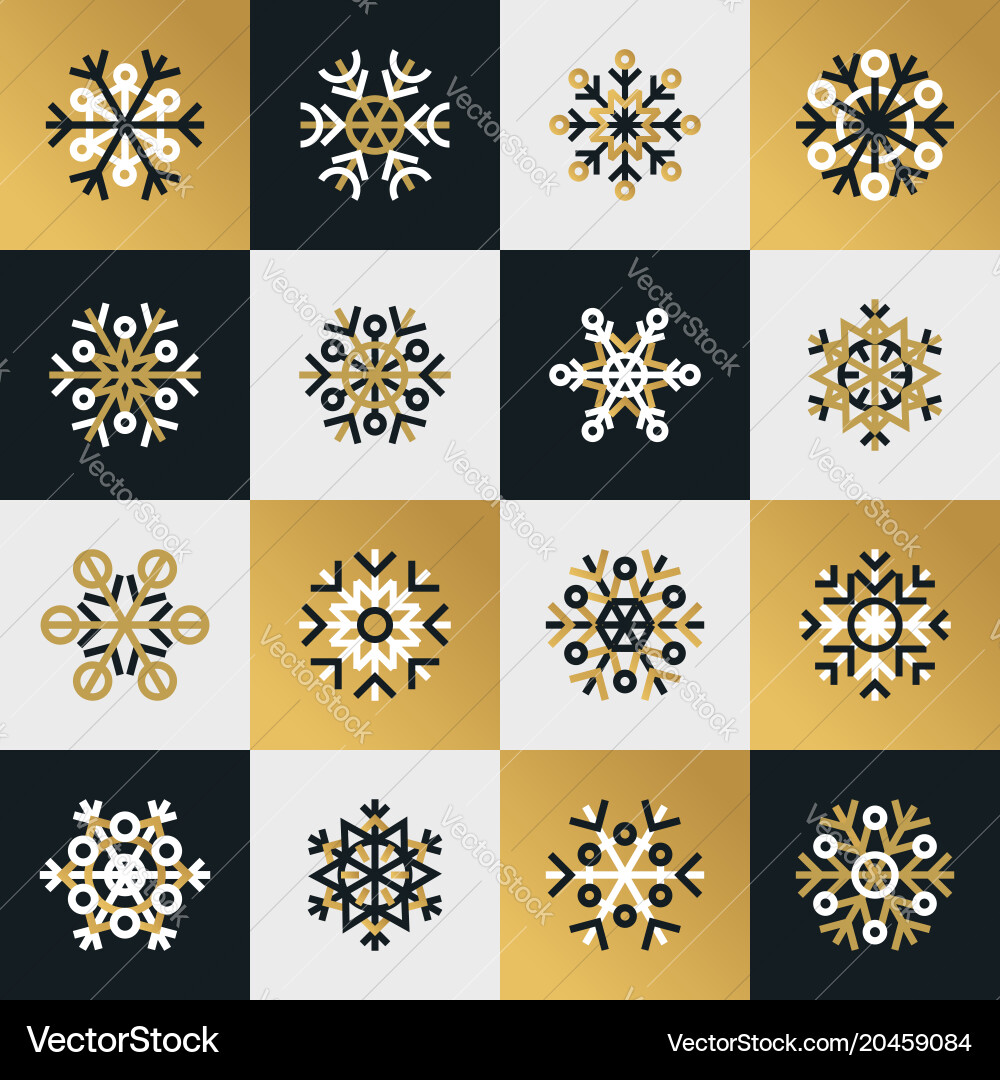 Winter Snowflake Pattern vector image