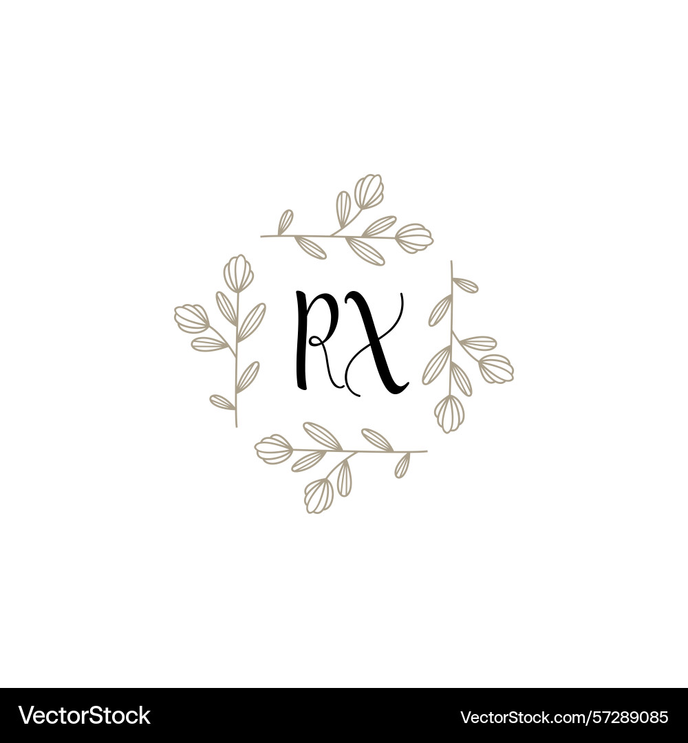 Botanical monogram logos with initial rx Vector Image