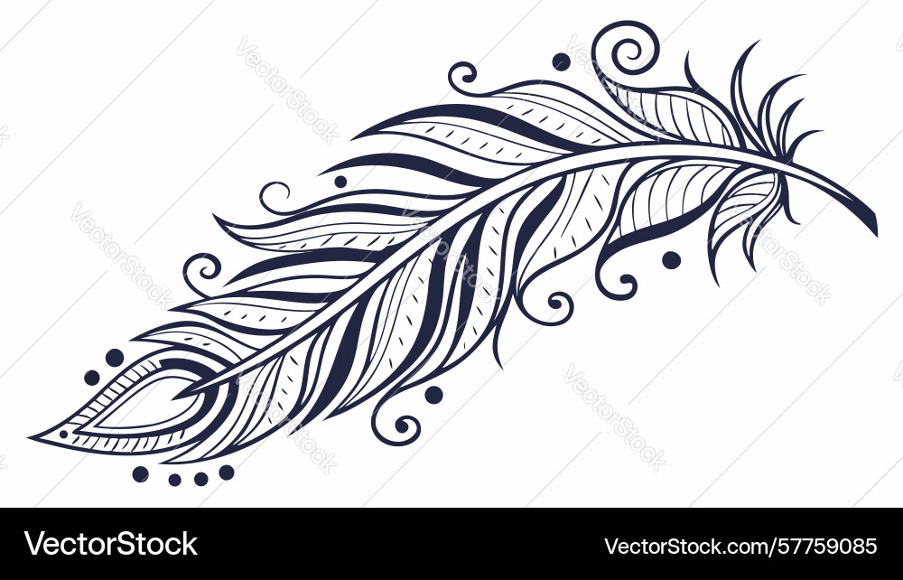 Detailed feather with ornate patterns design Vector Image