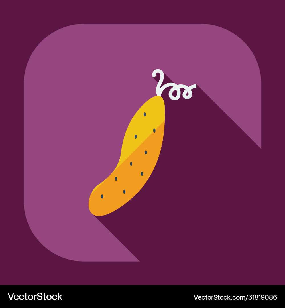 Flat modern design with shadow icons cucumber Flat modern design with shadow icons cucumber vector image
