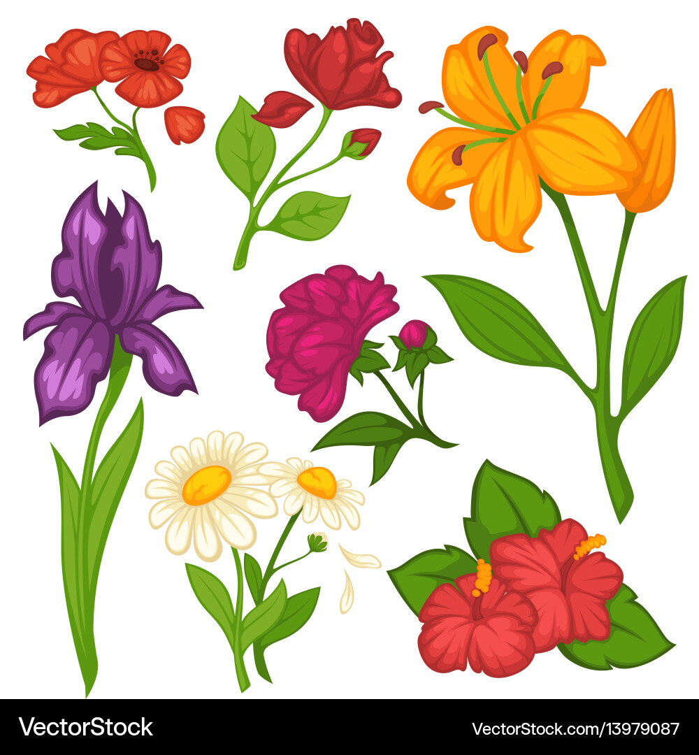 Blooming Flower Set - Daffodils, Roses, & More Vector Image