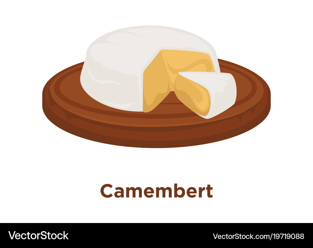 Head of delicious camembert with cut triangular Vector Image