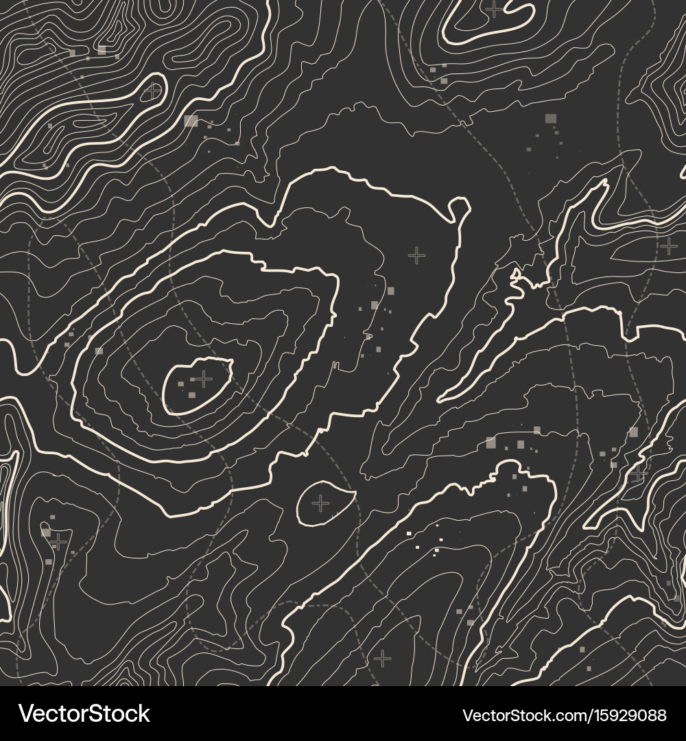 Seamless pattern topographic map background Vector Image
