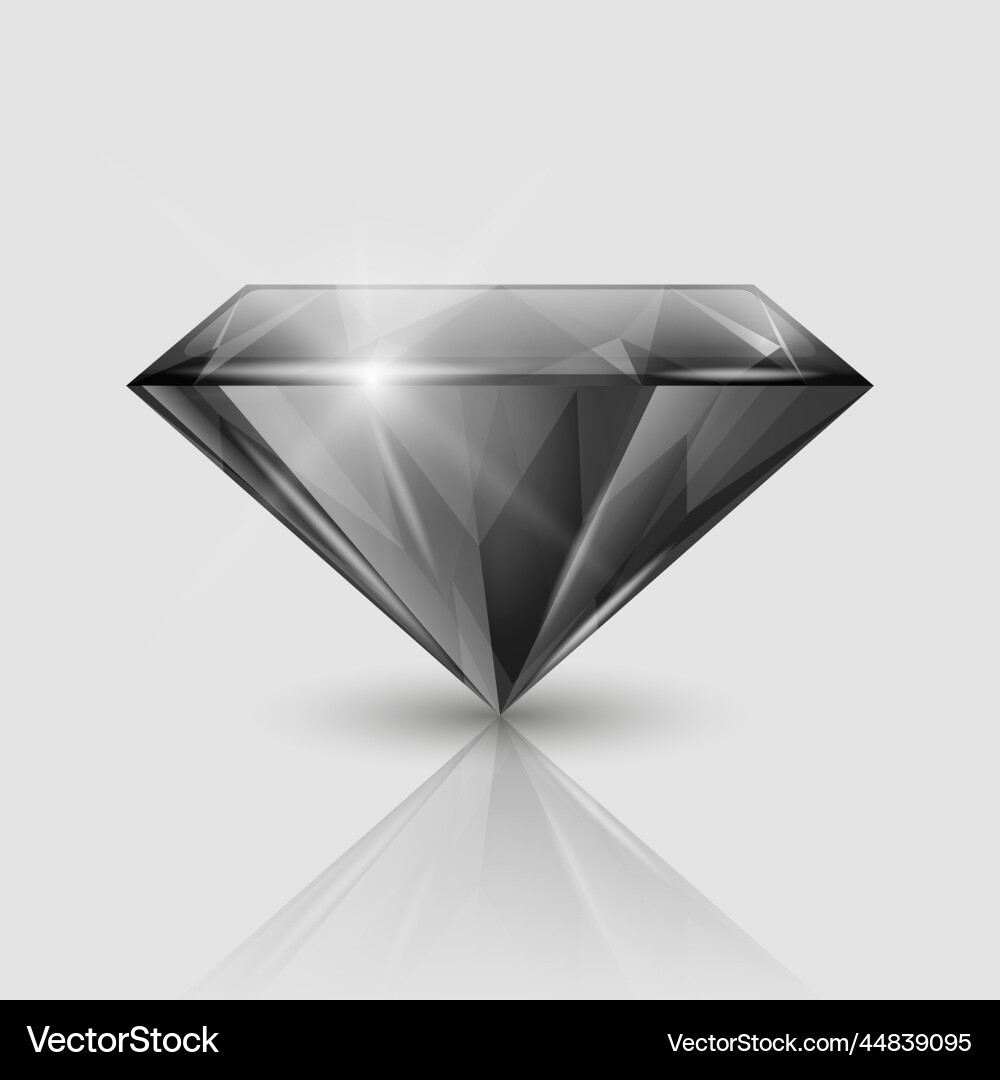 3d realistic black transparent triangular Vector Image