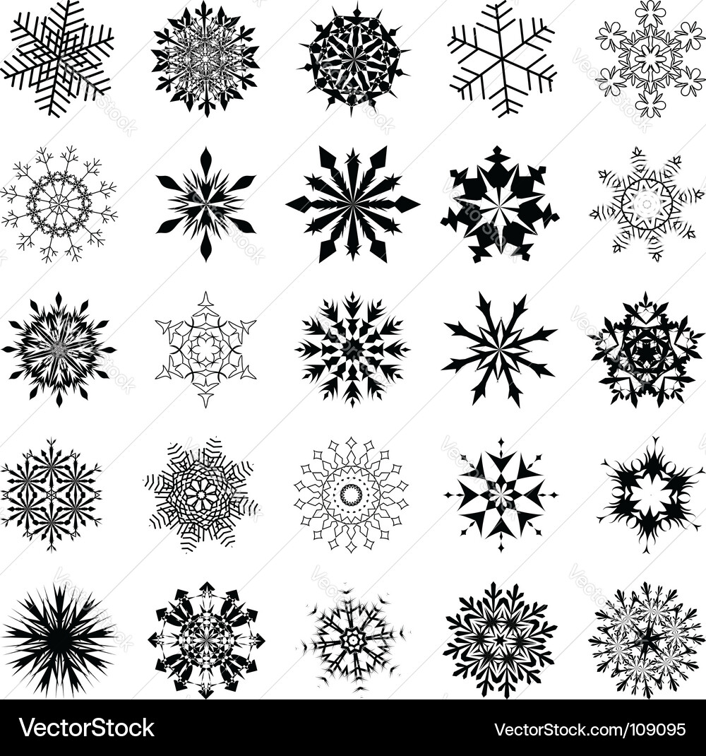 Snowflakes vector image