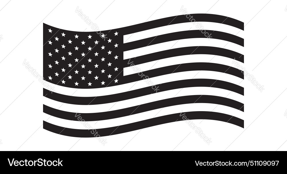American Flag - US National Symbol Vector Image
